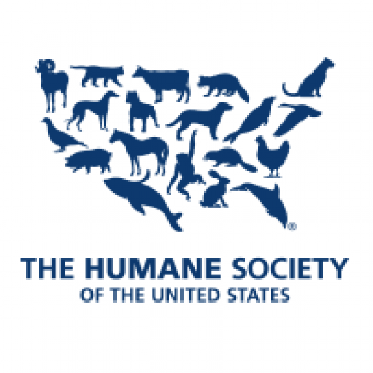 Organization Logo