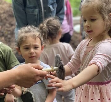 Agency Photo  (275626)