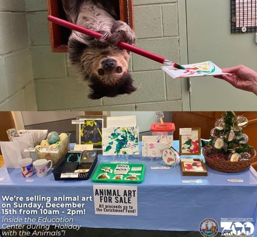 Agency Photo  (271670)