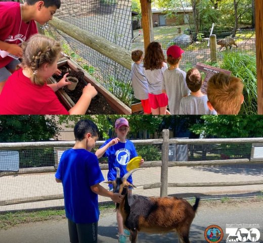 Agency Photo  (271717)