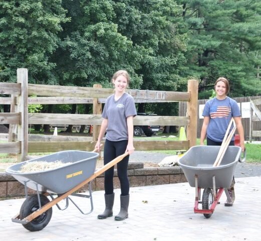 Agency Photo  (271455)