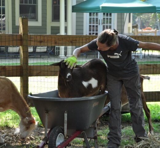 Agency Photo  (271454)