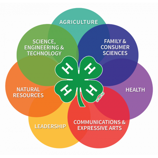 Agency Logo