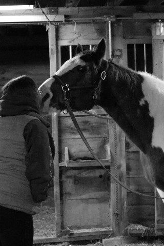 Organization Photo  (143746)