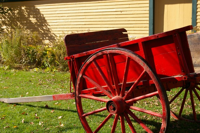 Organization Photo  (182688)