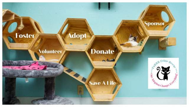 Organization Photo  (205215)