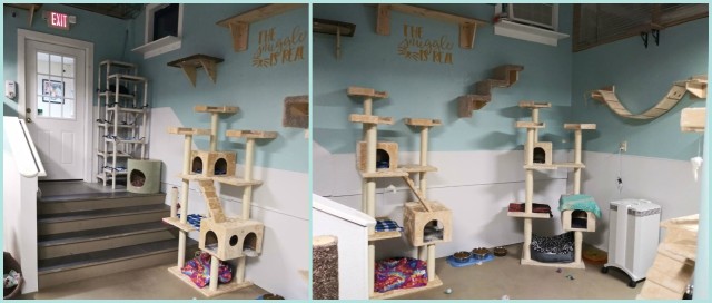 Organization Photo  (205216)