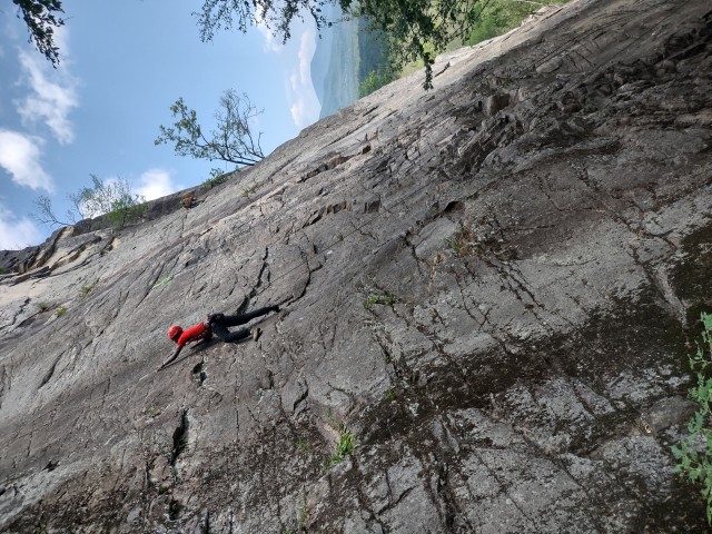 Organization Photo  (207060)