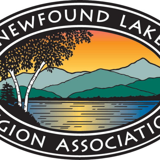 Organization Logo