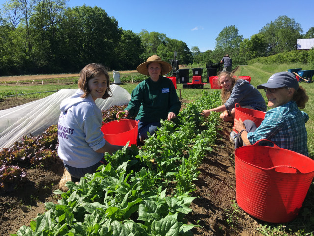 Organization Photo  (133081)