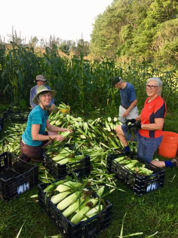 Organization Photo  (133084)