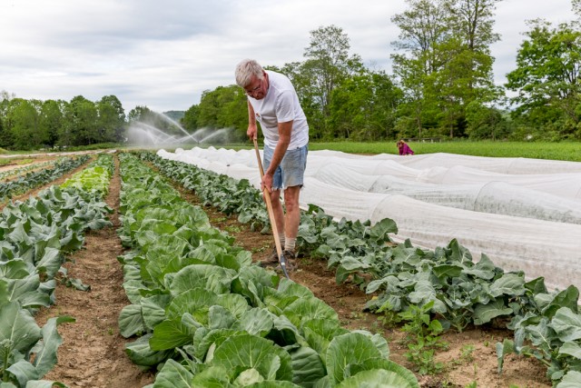 Organization Photo  (113958)