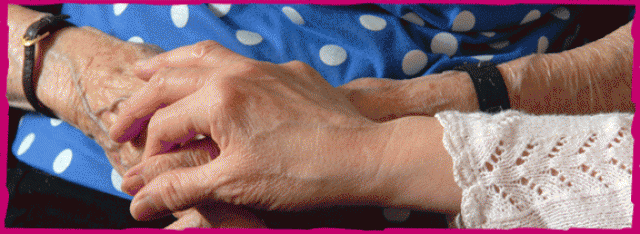 Organization Photo  (78480)