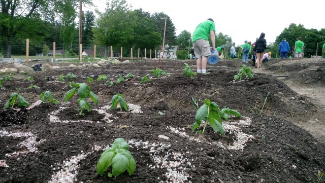 Organization Photo  (88796)