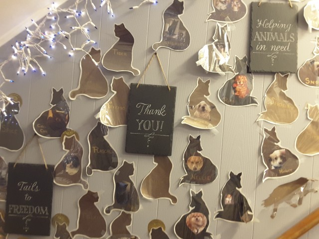 Organization Photo  (113578)