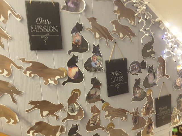 Organization Photo  (113597)