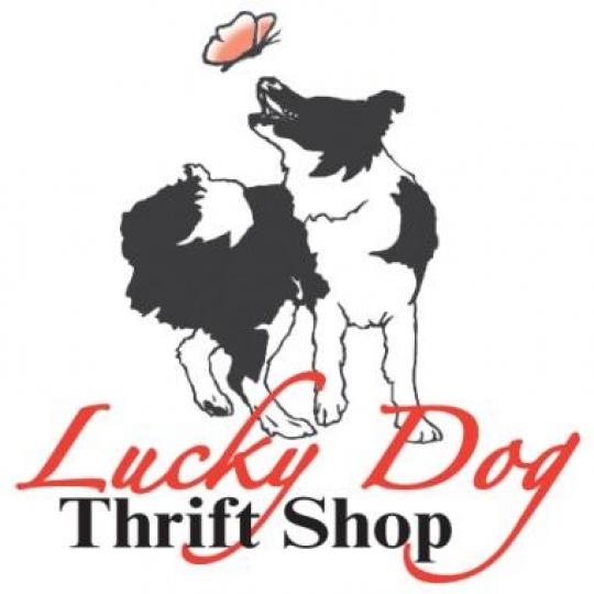 Organization Logo