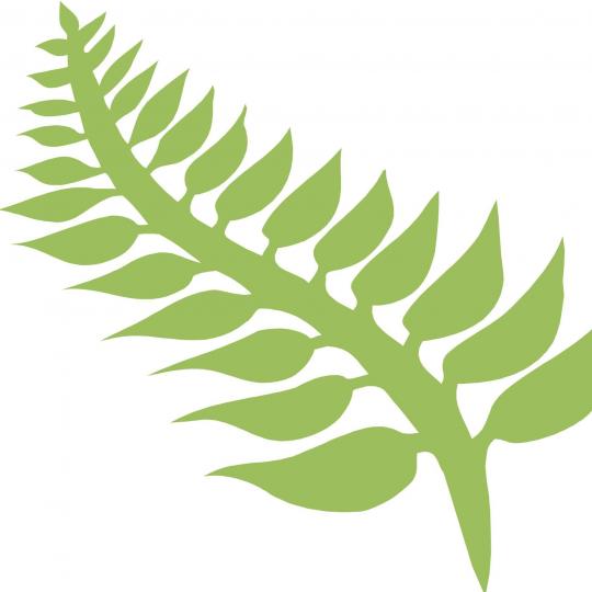 Organization Logo