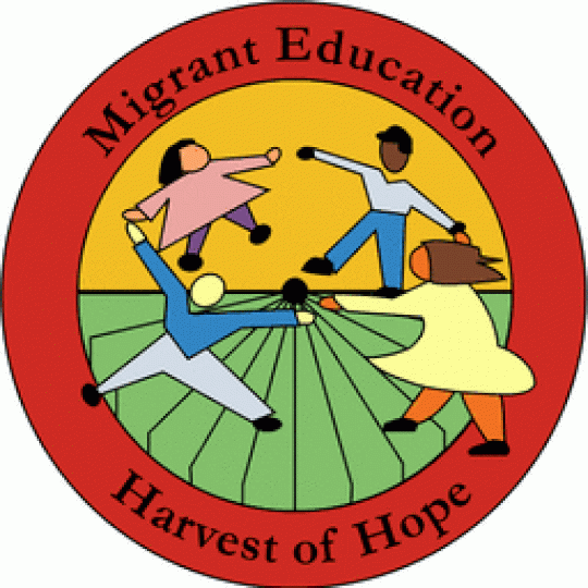 Organization Logo