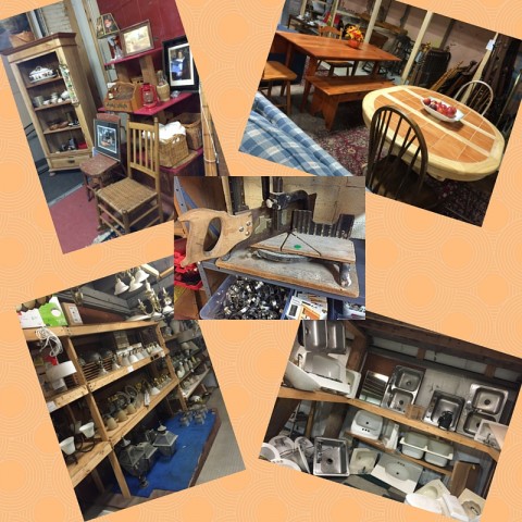 Organization Photo  (61480)
