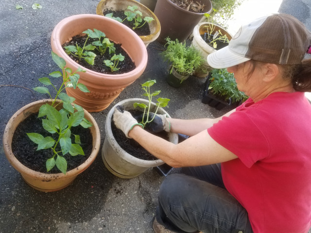 Organization Photo  (170461)