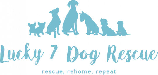 Organization Logo