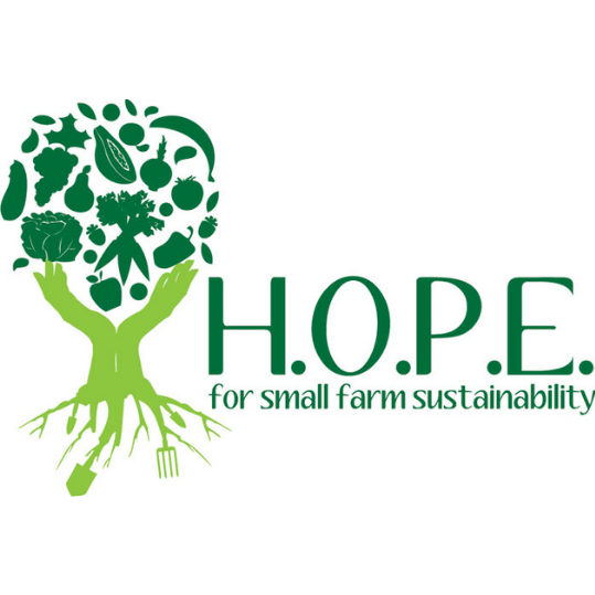 Agency Logo