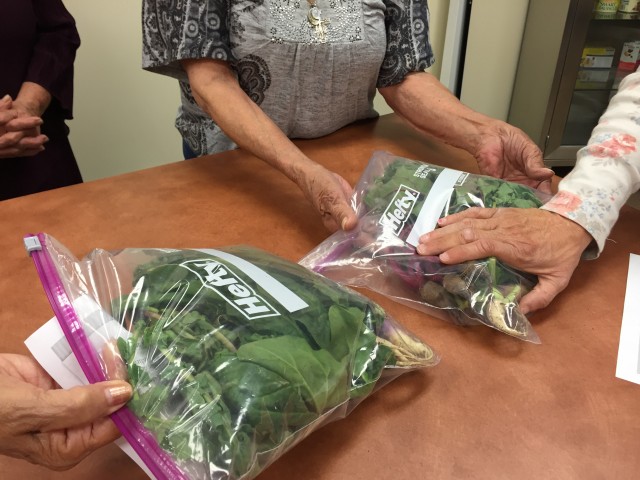 Agency Photo  (88258)