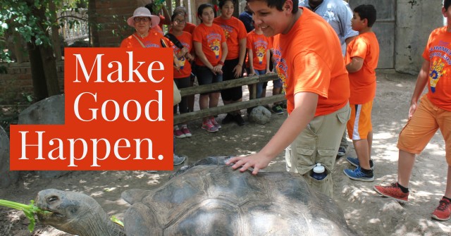 Agency Photo  (92600)