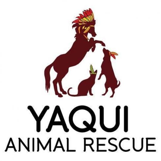 Agency Logo