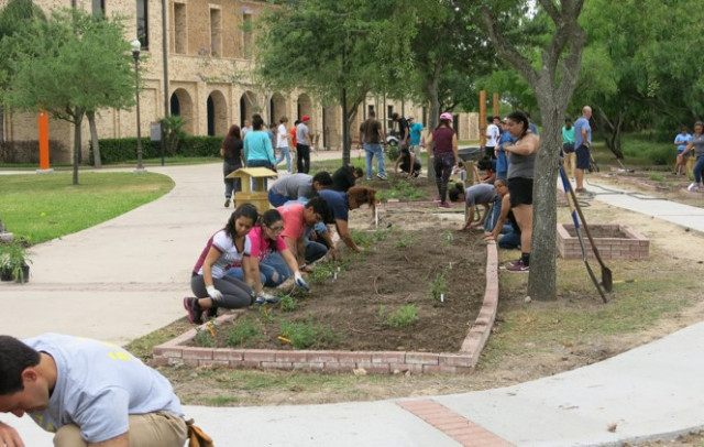 Agency Photo  (117724)