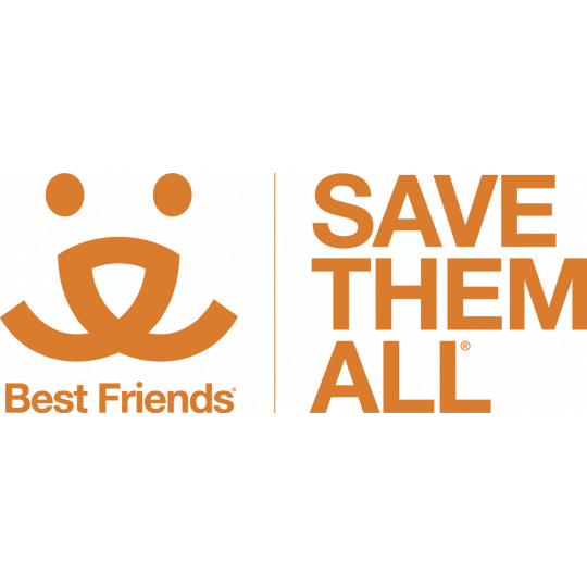Agency Logo