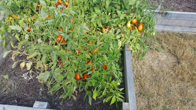 Agency Photo  (147313)