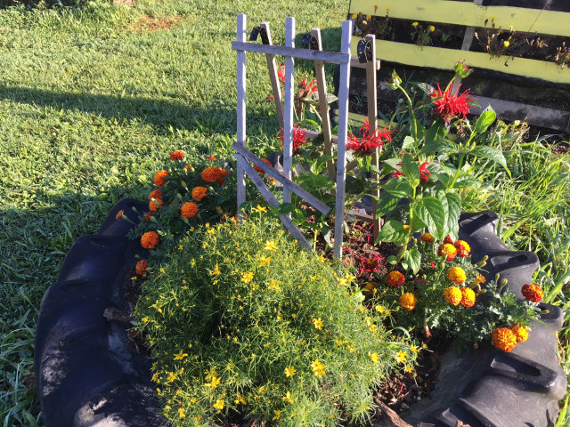 Agency Photo  (147312)