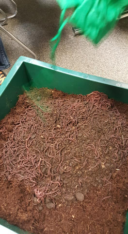 Agency Photo  (147310)