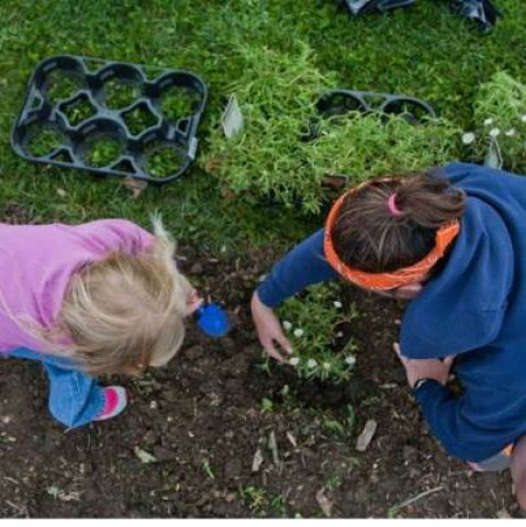 Agency Photo  (127934)