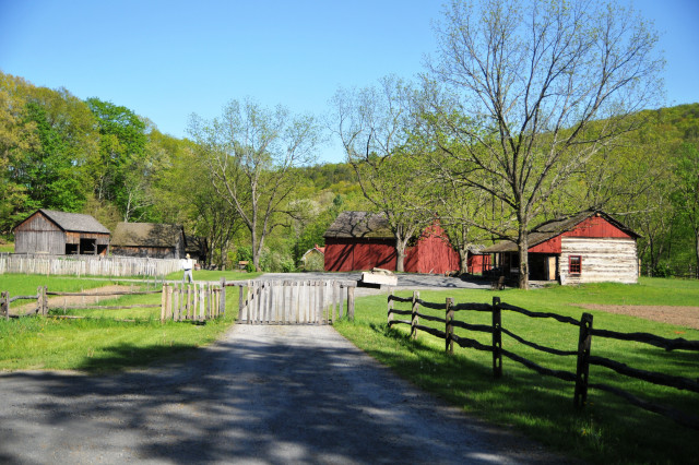 Agency Photo  (137524)