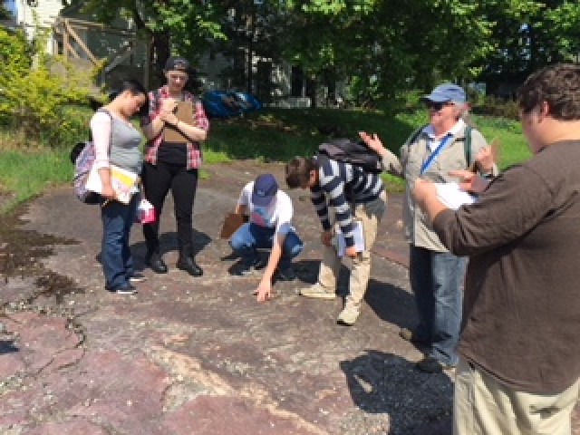 Agency Photo  (120386)