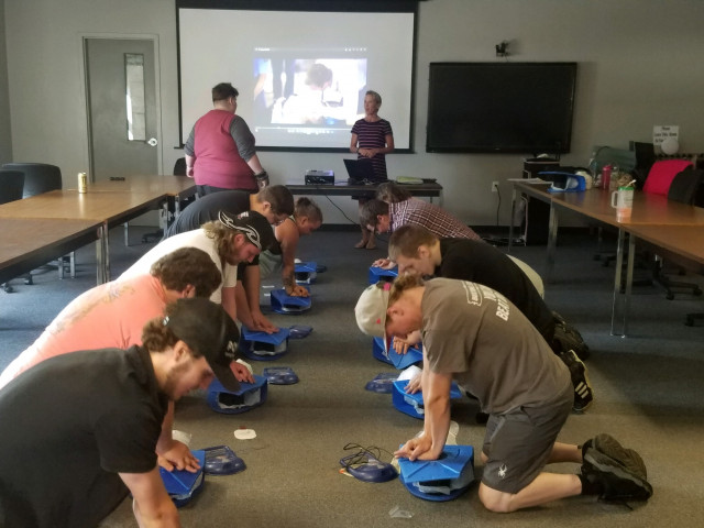 Agency Photo  (120376)