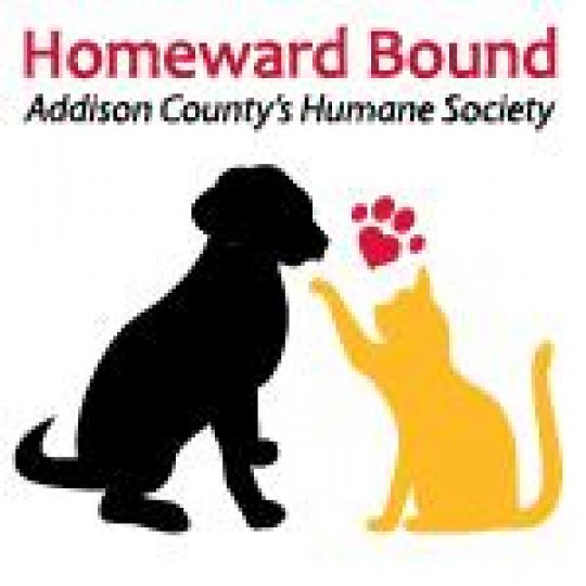 Agency Logo