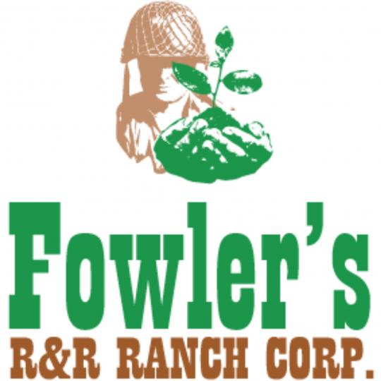 Agency Logo