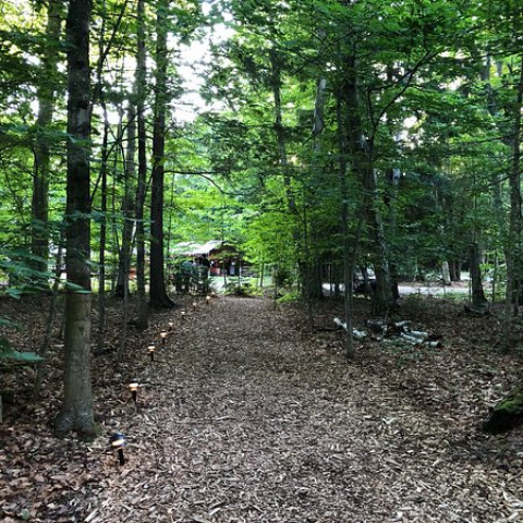 Agency Photo  (170198)