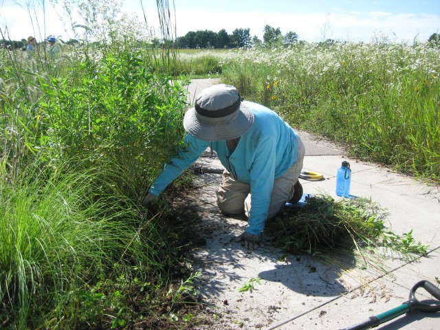 Agency Photo  (206861)