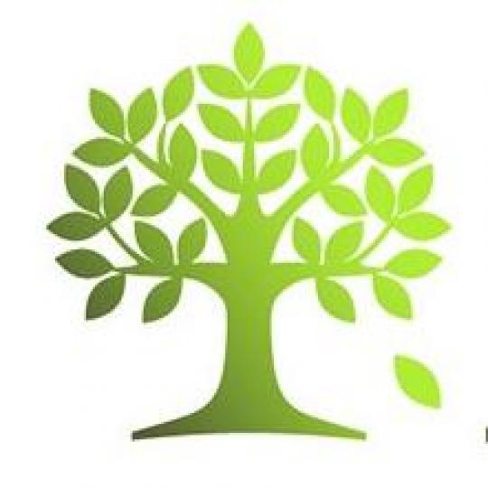 Agency Logo