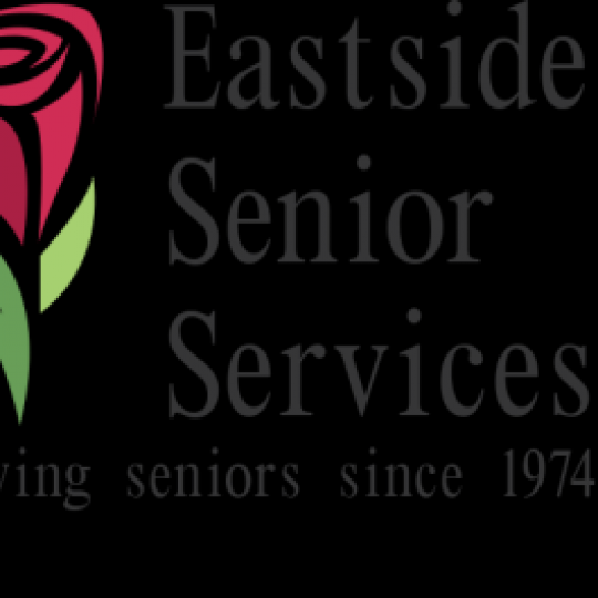 Agency Logo