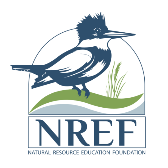 Agency Logo
