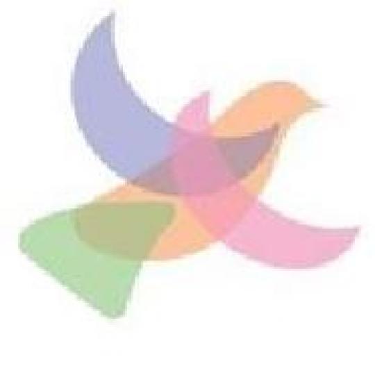 Agency Logo