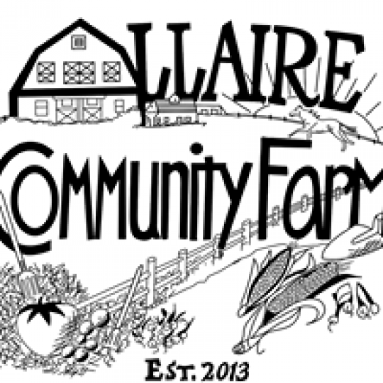 Agency Logo