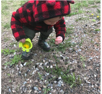 Nonprofit Photo  (274630)