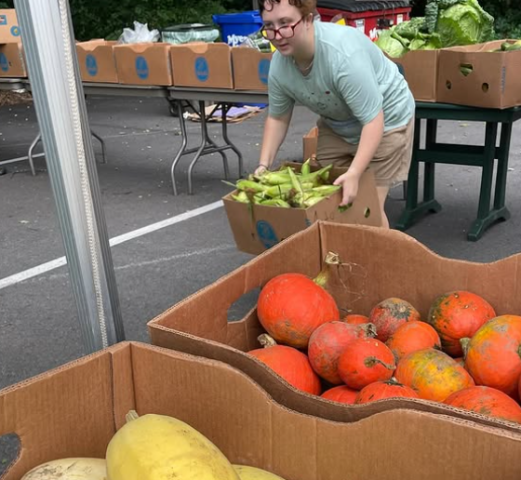 Nonprofit Photo  (263482)